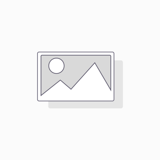 RE-Cruiser